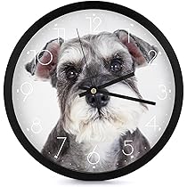 アンティーク目玉時計 シュナウザー犬 アンティーク目玉時計 シュナウザー犬