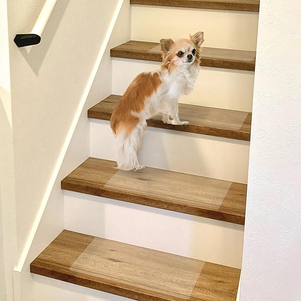 Amazon.co.jp: 透明階段マット ZST-4215 TO 40cm×20cm 15枚入 : ホーム