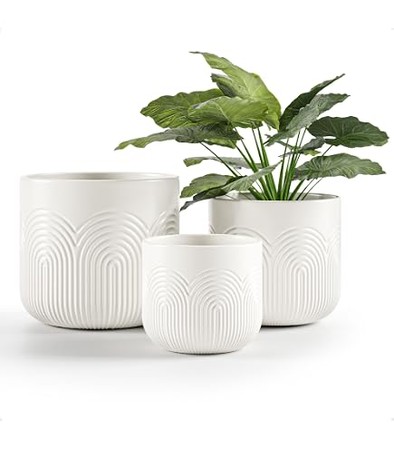 Docrin Ceramic Plant Pots Indoor Set Of 2 – 6.6" & 5.5" With Drainage Holes & Saucer, Milky White Honeycomb Design