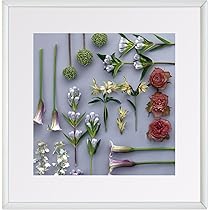 花額縁 61-5GnAQpKL._UF350,350_QL50_.jpg