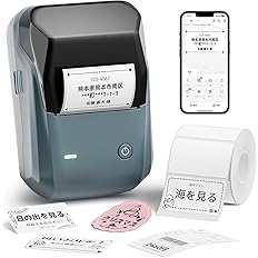 [30% OFF + 43% OFF] [¥1,999] NIIMBOT 可充电蓝牙便携式热敏标签打印机 B1，兼容 Android 和 iOS，具有自动识别功能