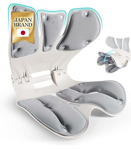 EAVY LW ランバーサポート 骨盤サポート 椅子 クッション 姿勢改善 Amazon.co.jp: EAVY LW ランバーサポート 骨盤サポート 椅子