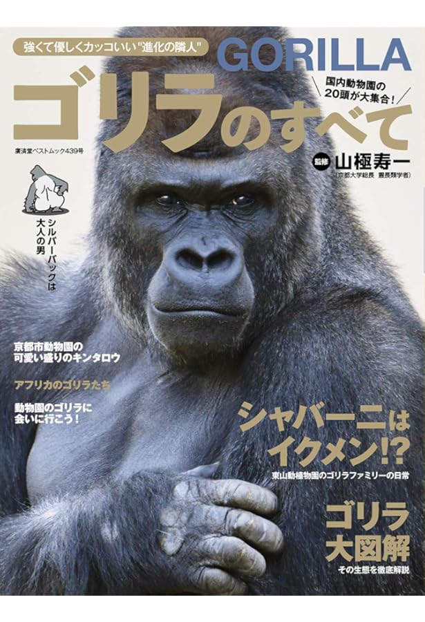 東山動植物園オフィシャルゴリラ写真集 シャバーニ! | 東山動植物園