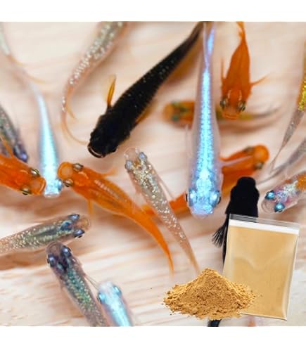 Amazon | ピンポンパール ぴんぽんぱーるちょうちんぱーるミックス 3匹