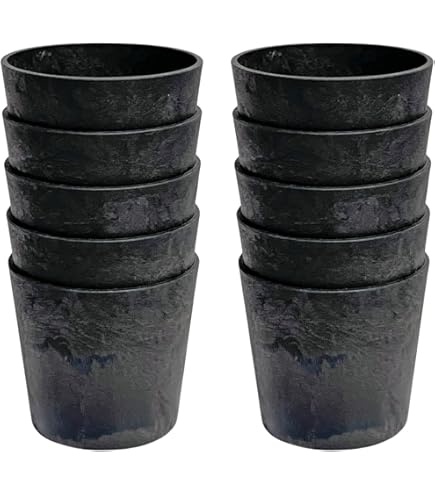 Amazon.co.jp: セラアート 植木鉢 黒色 5号 × 6個 プラスチック鉢