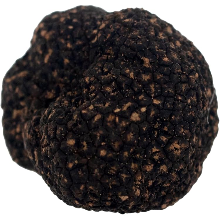 Amazon.co.jp: トリュフ 黒トリュフ 冷凍 250g ホール 5-7cm 生冷凍