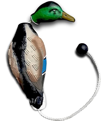 Amazon.co.jp: DogBone キジの香り 鳥の訓練に : ペット用品