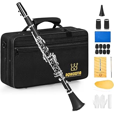 Amazon.co.jp 売れ筋ランキング: クラリネット の中で最も人気のある