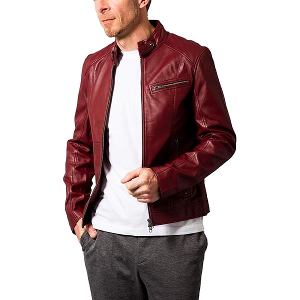 Amazon.co.jp: [POLO RALPH LAUREN] (ポロ ラルフローレン) ウインド