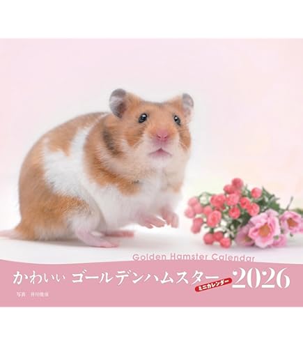 Amazon | ハムスターズカレンダー 2026年 | 12ヶ月壁掛けカレンダー