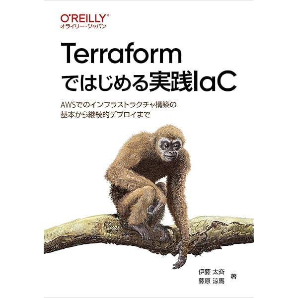 データ戦略の策定 MARILU LOPEZ Amazon | Data Strategies for Data Governance: Creating a