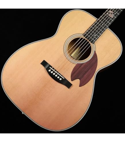 Headway アコースティックギター HF-060S ハードケース付き Headway アコースティックギター HF-060S ハードケース付き HF