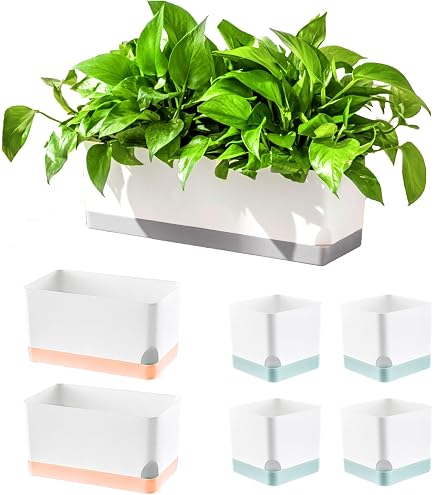 LaLaGreen 14 Inch Self-watering Planter Box Indoor LaLaGreen Self ...