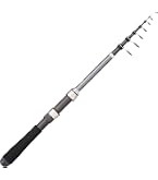 Amazon | ダイワ(DAIWA) 振出投げ竿 プライムサーフT・W 25-405・W