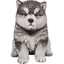 Amazon.co.jp: Hi-Line Gift Ltd 座っているセントバーナード