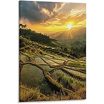 719g3cF9rJL._AC_UL210_SR210,