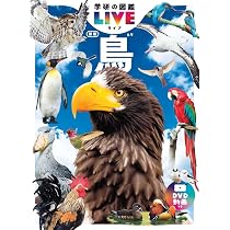 Amazon.co.jp: 鳥 新版 (学研の図鑑LIVE 11) : 髙木 昌興: 本