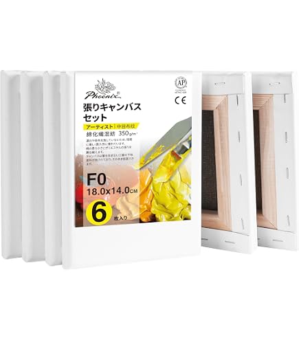 Amazon.co.jp: AUREUO 張りキャンバス セット FSM (22.7cmX15.8cm) 中
