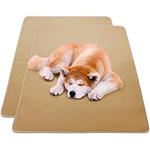 4セット イヌラボ 大判 床保護マット 165×122cm 2枚セットx4 Amazon.co.