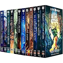 洋書 Reserved for water boy D&D 29-Book Set 719p43y4VdL._AC_UL210_SR210,