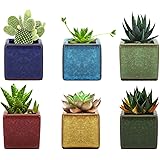植木鉢 6個入り Lewondr 多肉植物ポット プランター 陶器鉢 盆栽 窓飾り インテリア ミニ植物適用 2号サイズ 6.35*6.35*6.35cm 「注：セット内容は鉢のみ」 SquareIceCrack