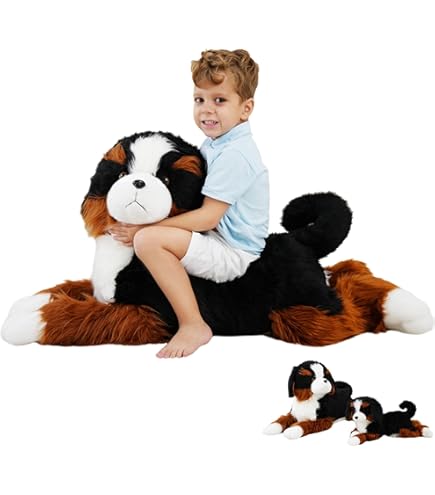 Amazon.co.jp: Douglas Trooper バーニーズマウンテンドッグ