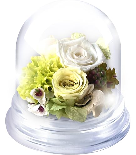 Amazon.co.jp: ときメモGS3 桜井琉夏 ホワイトデー プリザーブド