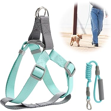 Amazon.co.jp 最新リリース: 犬用ハーネス の新着ランキングです。