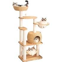 Amazon | PETTIFUL キャットタワー 木製 【天然木使用】 大型 据え置き