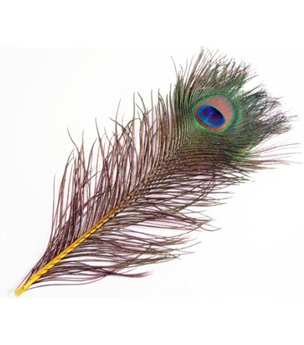 Amazon.co.jp: ピーコック・スウォード 4本 [022-Fe-N] 孔雀 フライ