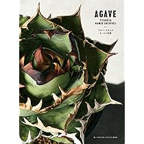 アガベ・チタノタ ネームド図鑑 AGAVE TITANOTA NAMED ARCHIVES