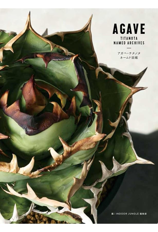 アガベ・チタノタ -表情豊かな株の個性と美しく仕上げるための育成