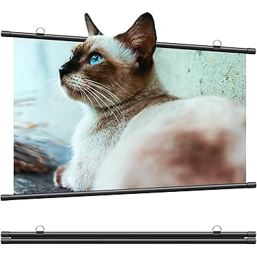 Amazon.co.jp 最新リリース: プロジェクタースクリーン の新着