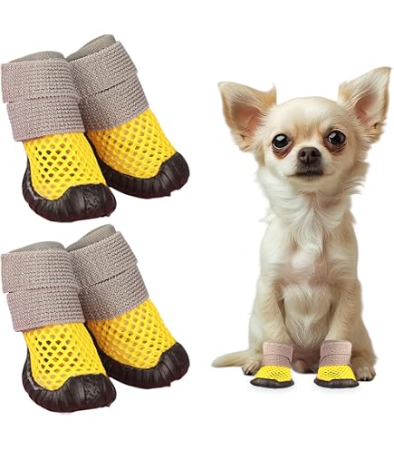 Amazon.co.jp: 犬用クロックス春夏レインブーツペット用品ゴールデン