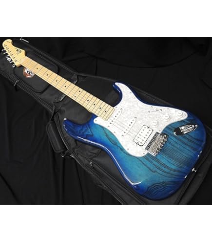 2025 Fujigen NTE100MAHT テレキャスターシンライン 2025 Fujigen NTE100MAHT テレキャスターシンライン Amazon | FGN