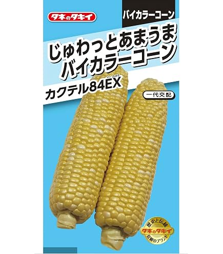 Amazon.co.jp: 甘々娘極甘とうもろこし 種 約100粒専業農家仕入れ種子