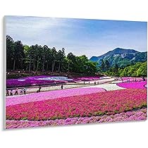 けしの実 油彩です けしの実 油彩です けしの実 油彩です UESHIMA MUSEUM COLLECTION