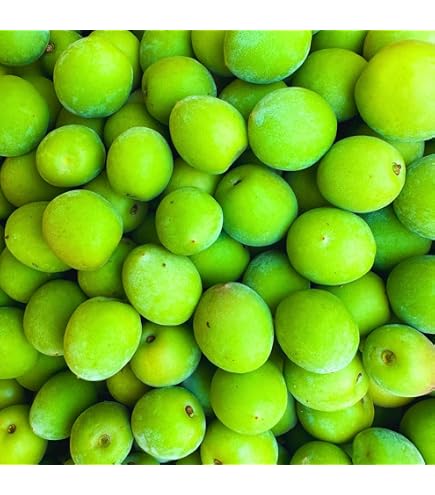 Amazon.co.jp: 和歌山県産 南高梅(青梅）約10kg (訳あり（サイズ不揃い