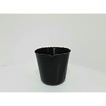 Amazon.co.jp: ポリポット 15cm 黒 100個 ビニールポット : DIY
