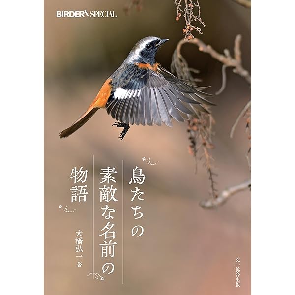 ビジュアル図鑑 北海道の鳥 | 大橋 弘一 |本 | 通販 | Amazon