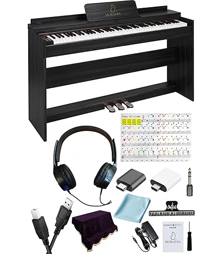 Amazon | Moog Werkstatt-01 アナログシンセサイザーキット CV拡張