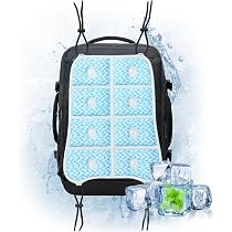 Amazon | Ninonly ミニ冷蔵庫 10L 小型冷蔵庫 0-65℃ 保冷保温庫 ミニ