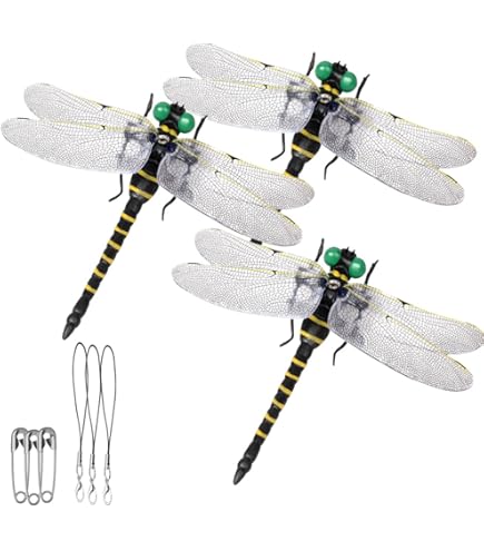 Amazon.co.jp: 原色図鑑 シリーズ 日本のトンボ 全5種 オニヤンマ