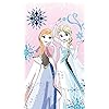 『アナと雪の女王』アナ,エルサ ディズニー - 『アナと雪の女王』アナ,エルサ XFVGA(480×854)壁紙 79594