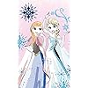 『アナと雪の女王』アナ,エルサ ディズニー - 『アナと雪の女王』アナ,エルサ FVGA(480×800)壁紙 80231