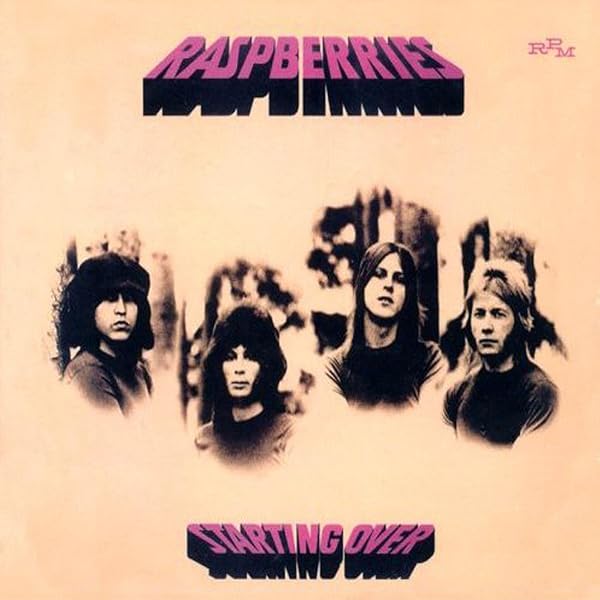 洋楽 AOR CD Raspberries Power Pop Vl 1 & 2 Amazon.co.jp: ラズベリーズ: ミュージック