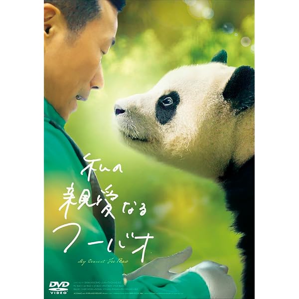 Amazon.co.jp: 【Amazon.co.jp限定】ごろごろパンダ日記 通常版 DVD