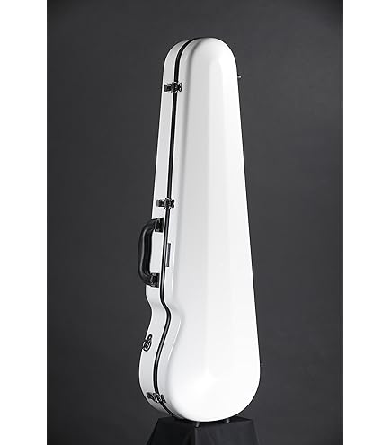 Amazon | EASTMAN バイオリンハードケース 4/4 スタンダード