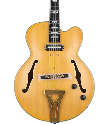 Ibenez PM2 PAT METHENY フルアコ パット・メセニー 楽天市場】Ibanez PM200 Natural -Pat Metheny Signature- 新品
