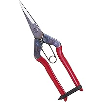 Amazon | 近正(CHIKAMASA)チカマサ ステンレス 芽切鋏 T-550S | 高枝